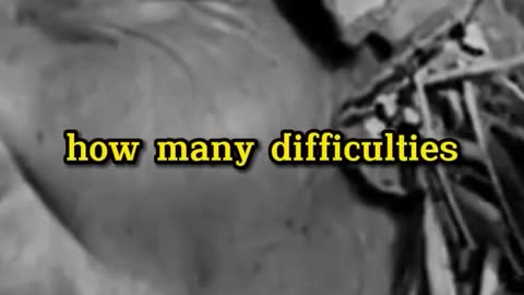 Thank you my ancestors!