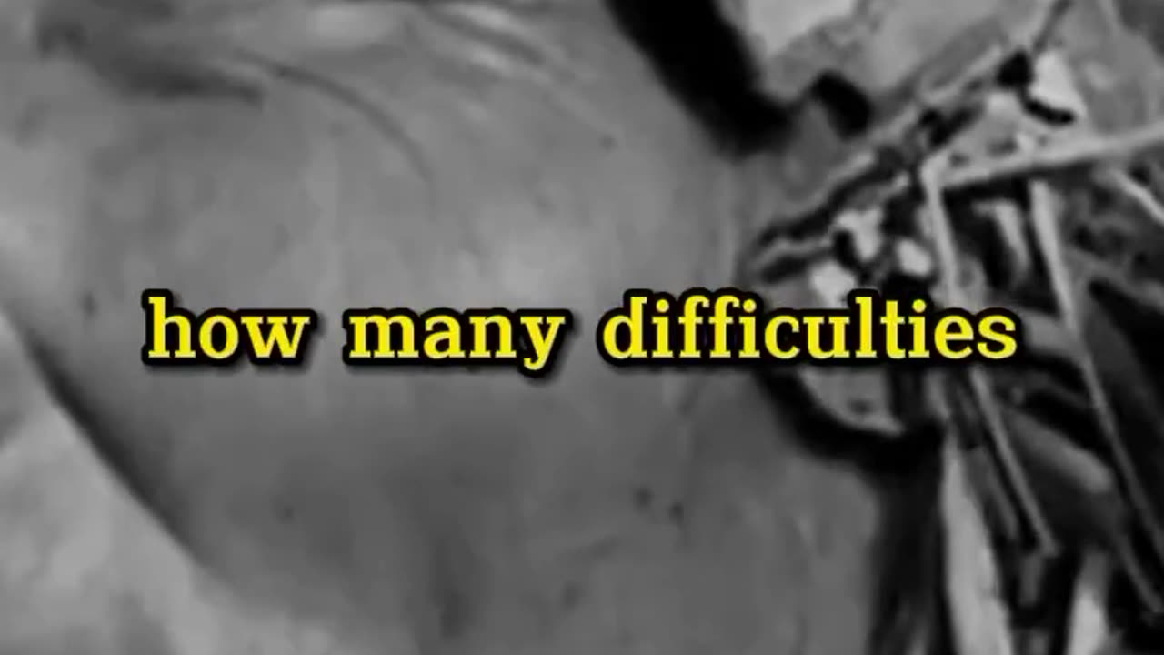 Thank you my ancestors!