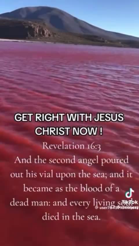 struck the water of the Nile, and all the water was changed into blood.