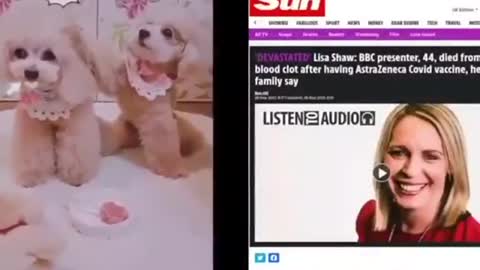 “培養分辨的能力”，基礎篇二