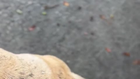 Are you looking for someone to eat