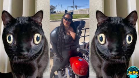 FatCatWoman 🤣🤯😳