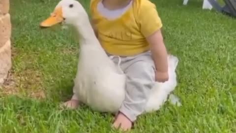 Cute funny baby videos