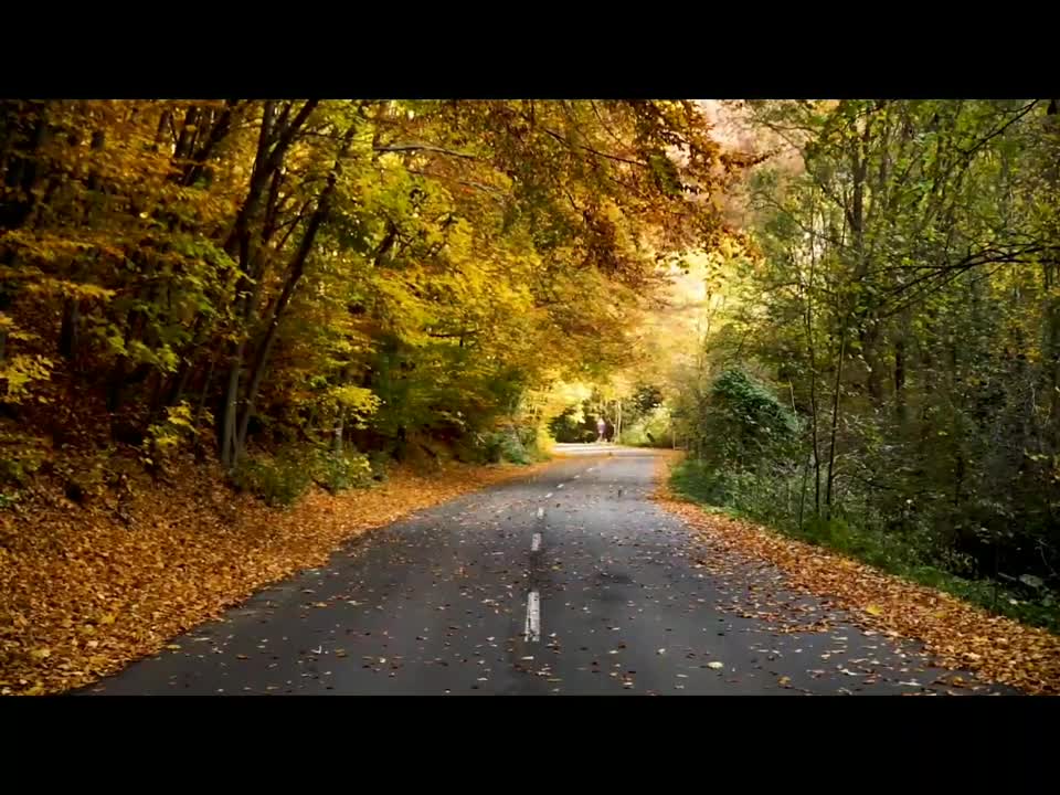 Relaxing Flute Music, Good morning music, Calming Music, Flute Music, Relax, Flute, Spa, relaxing☯