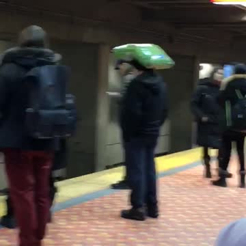 Man carries and balances big green bag of dog food on head