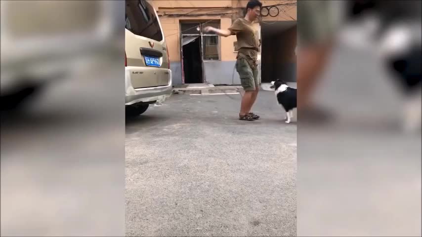 jumping rope with the dog