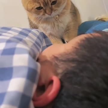 funny|prank|jokes|funny jokes|dad jokes|funny memes|funny video|fun|laughing|funny animal|knock