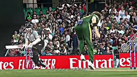 Eagle 🦅🙈 (Shaheen Shah Afridi)