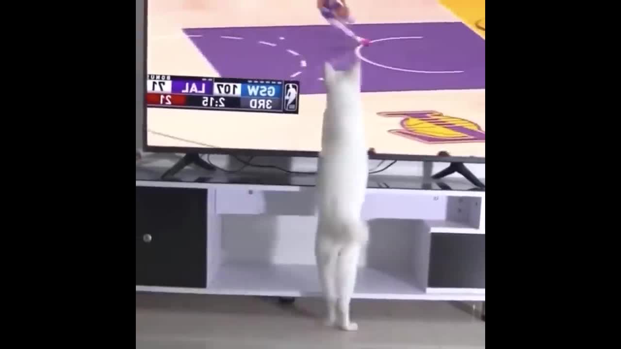 cat KIK