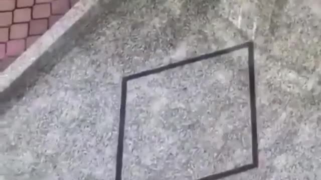 Paten Sürmeye Çalışan Çocuklara, Babasından Polis Siren Sesi Şakası