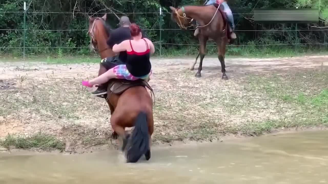 Wild Animals ( suspense and action video ) you must watch