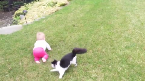 Baby are wrestling his cat🤣🤣🤣 Baby and Cat Fun and Fails -