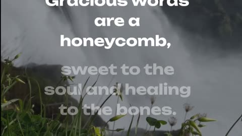 Proverbs 16:24