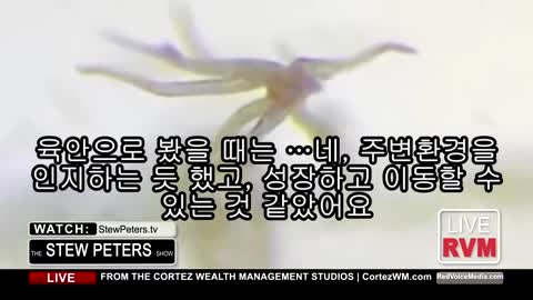 ● 20211019_[펌] [★산화그래핀] [제노] [STEW PETERS SHOW] DR.CARRIE MAJEJ 스튜피터 촉수 달린 생물체, 몸 속의 운영체제(OS), 그래핀