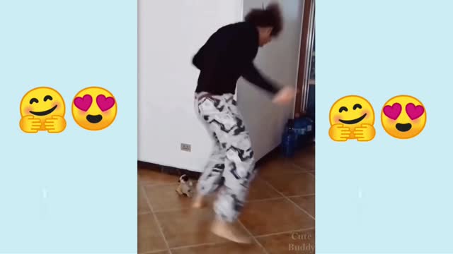 Cute puppy dance with boy