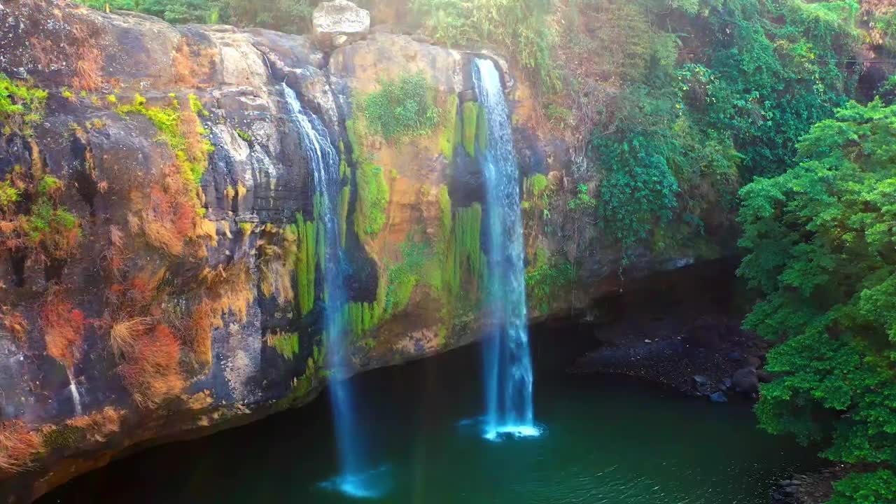 Birds Music With Beautiful Nature