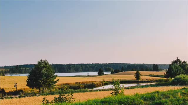 تلاوة في قمة العذوبة راحة تغمر القلوب القارئ سعيد الخطيب