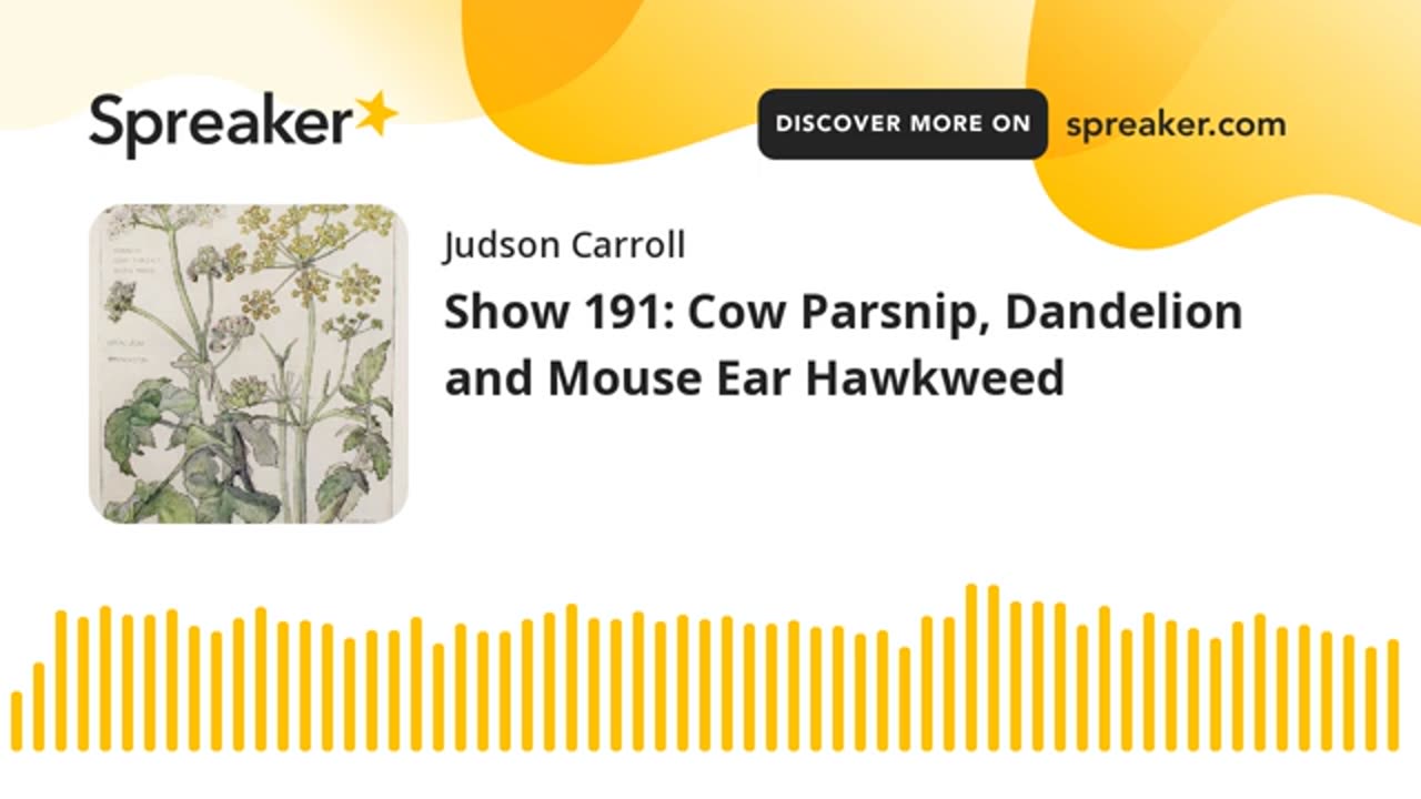 Show 191: Cow Parsnip, Dandelion and Mouse Ear Hawkweed