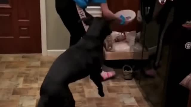 Good boy is spyngy ☺️😆