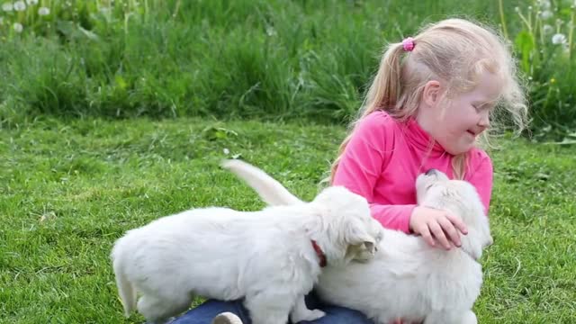 Beautiful little girl playing with a puppy in nature