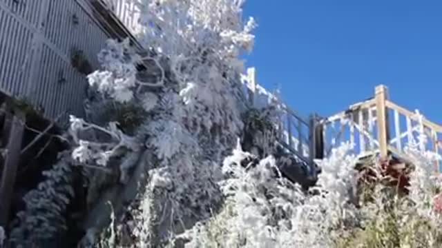 Snow fell on the highest mountain in Indochina, peak FANSIPAN of Vietnam 3143m