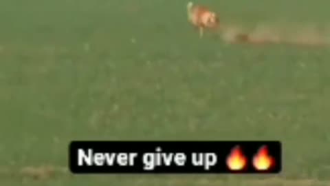 Never give up 💥💥💥