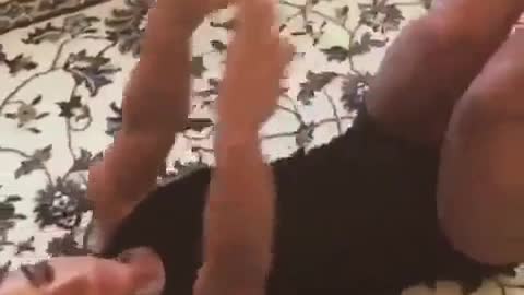 best workout at home