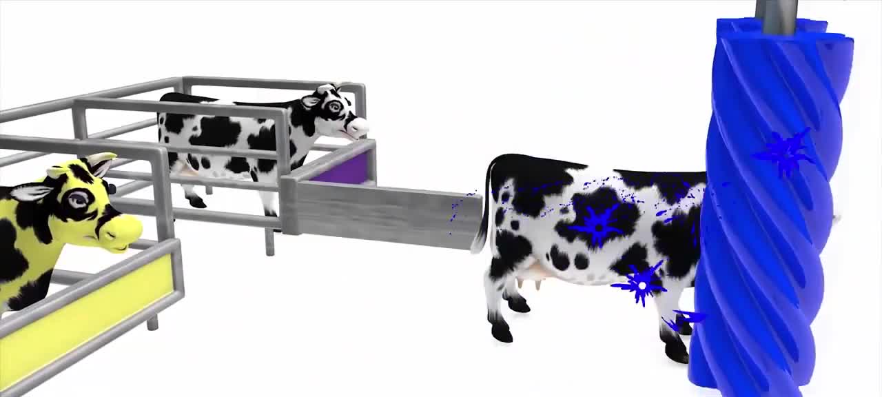 education ///learn to recognize colors with cow 🐄 media..