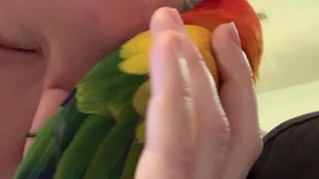 Parrot's Owner Pretends He's A Phone and Loves It