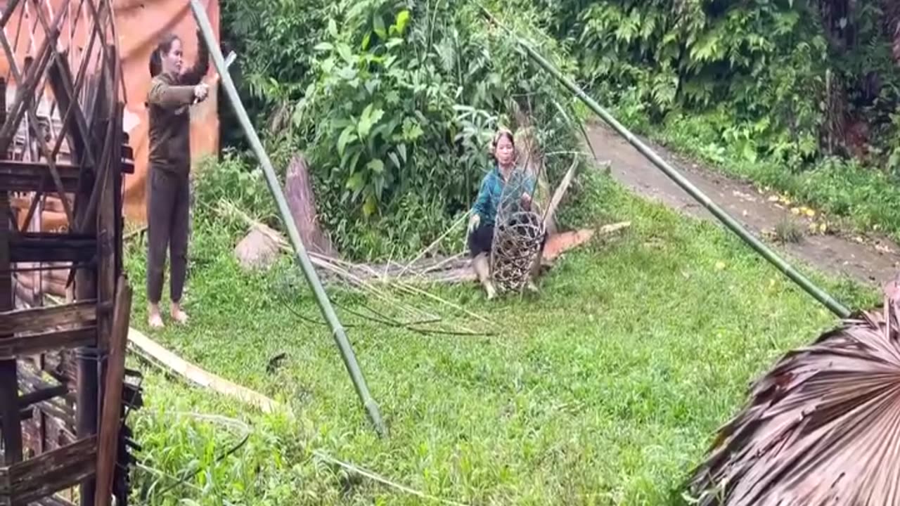 Together with my mother-in-law, we weaved beautiful bamboo chicken cages