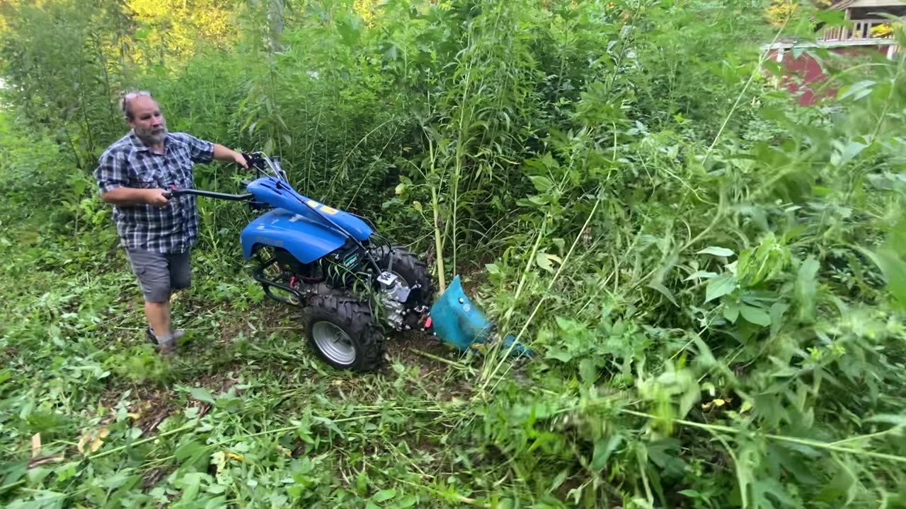 Blitz 80 2-wheel tractor mowing 8' tall brush and weeds