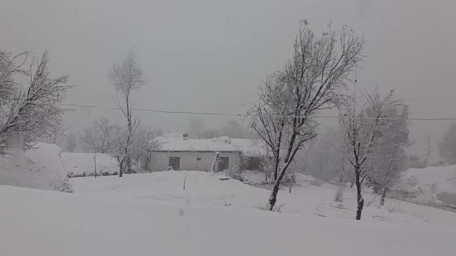 Snow fall