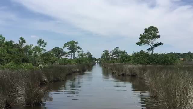 Outer Banks Adventures