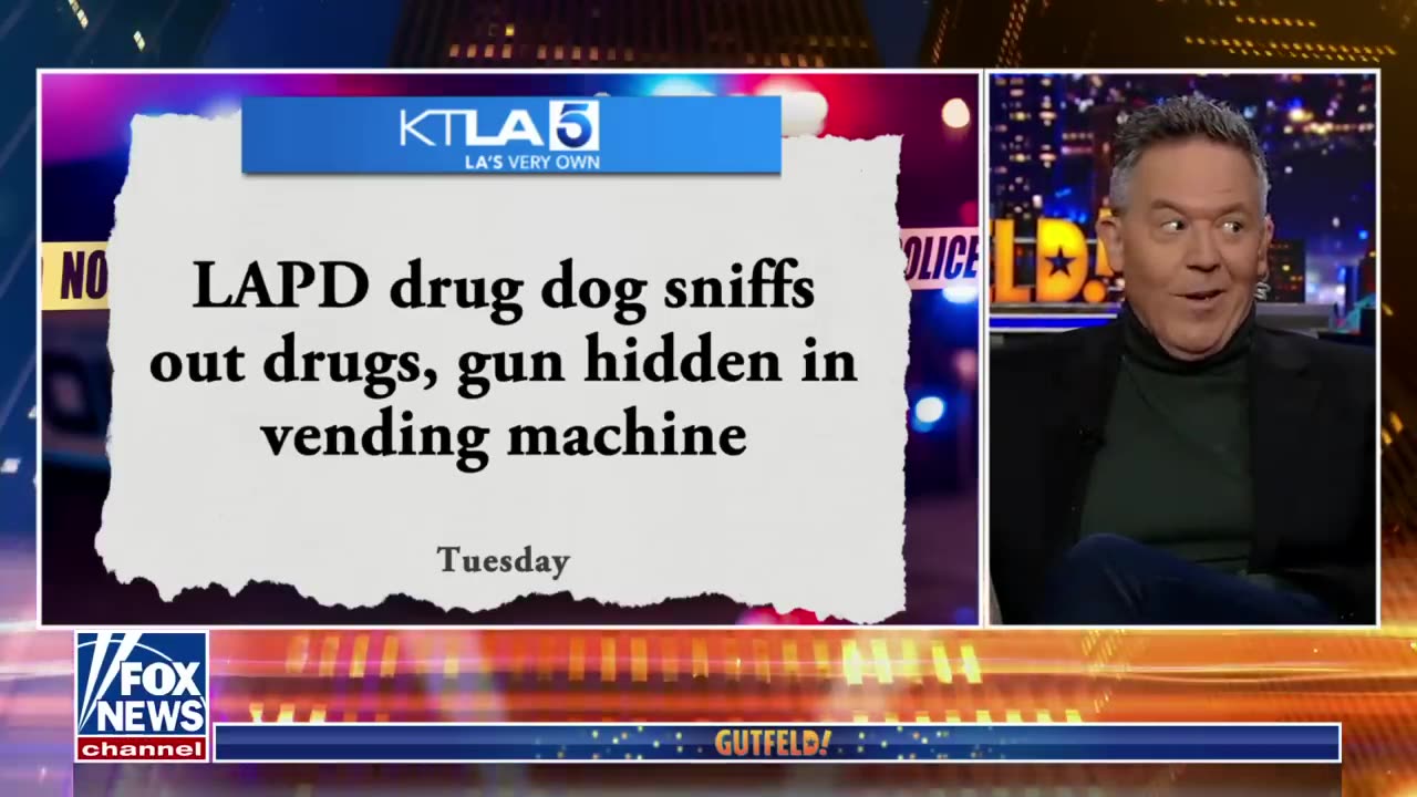 Greg Gutfeld:Fox News