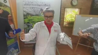 investigación dololed