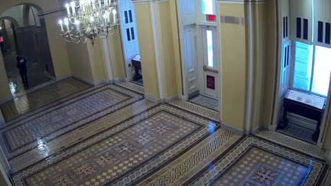 0102USCS01SenateWingDoornearS139_2021-01-06_12h37min59s560ms.mp4