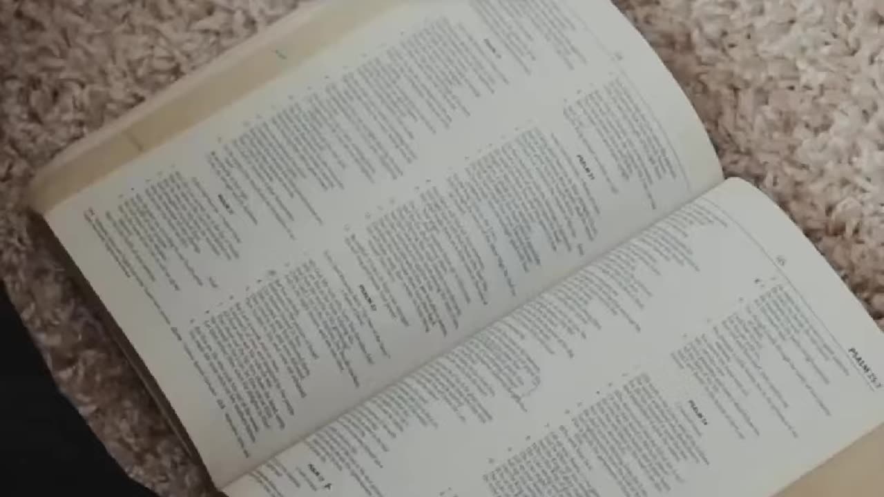 #biblebreakdown Read the Bible with me everyday!