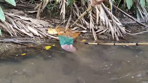 cari ikan di pinggiran kebun dapat banyak babon-15