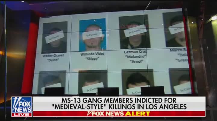 MS-13 gang members charged with 'medieval-style' killings