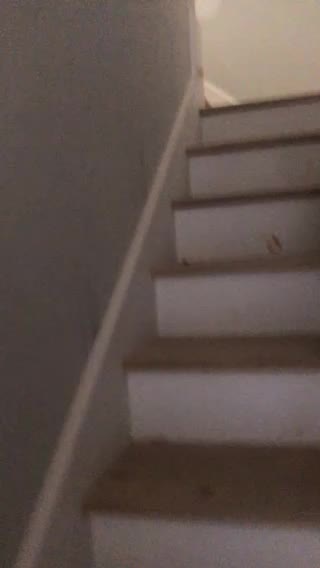 Charlie checking out the new house