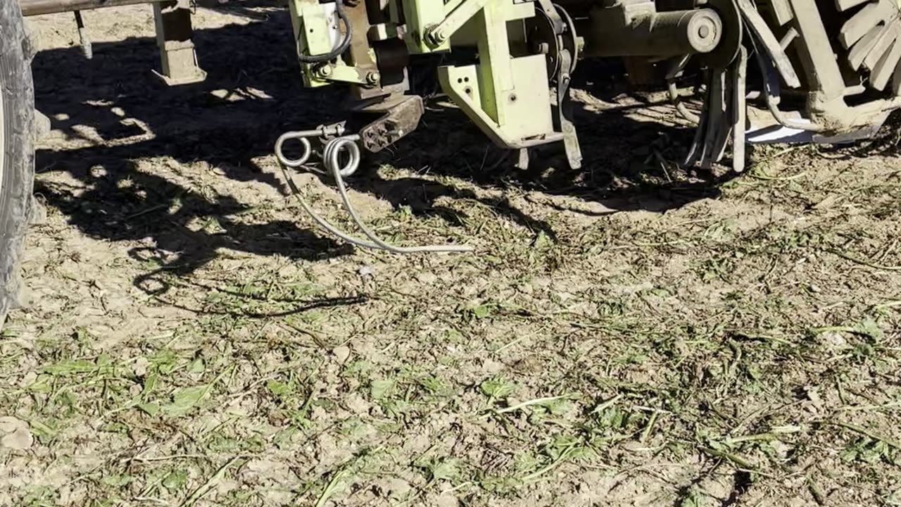 Sugar Beet Harvest