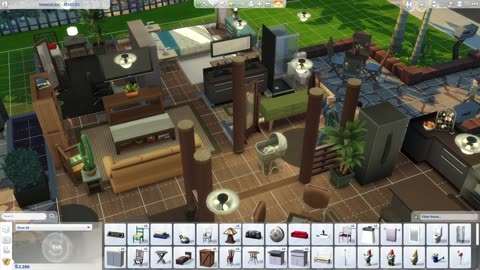 Sims Session 4