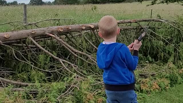 Tree Chopping Day - Caleb Cutting limbs off the tree