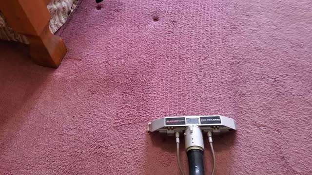 Pink Dirty Carpet Cleaning