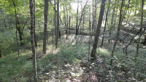 Trails at The Parklands at Floyds Fork. Slideshow.