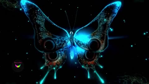 The Butterfly Effect and movie Discussion