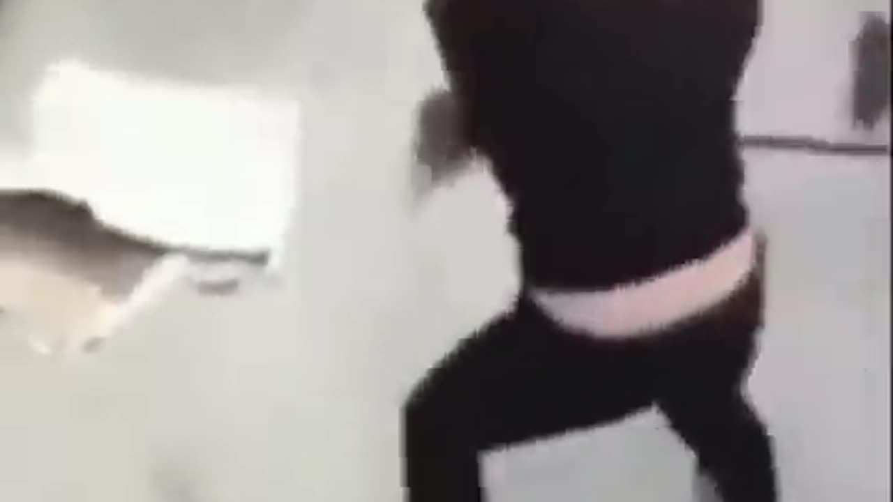 Animals funny video