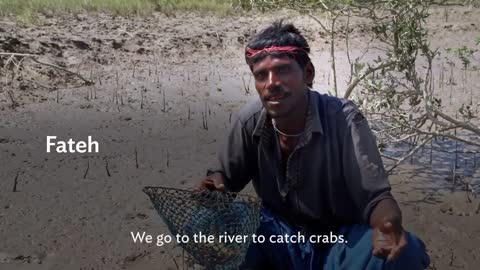 Planting Mangroves to Fight Poverty and Climate Change in Pakistan’s Indus Delta