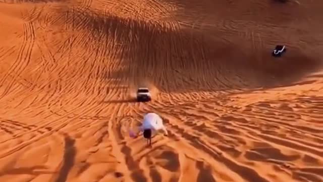 Backflip in the desert