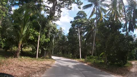 Phangan island in jungle